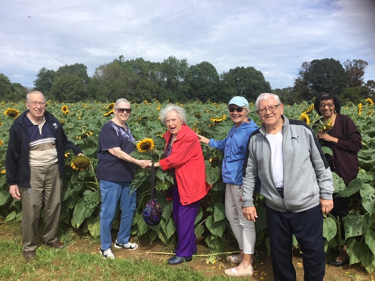 Seniors in sunflower field